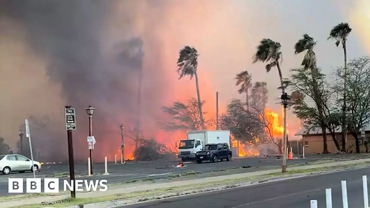 Hawaii fires: At least 36 killed as flames tear through Maui island