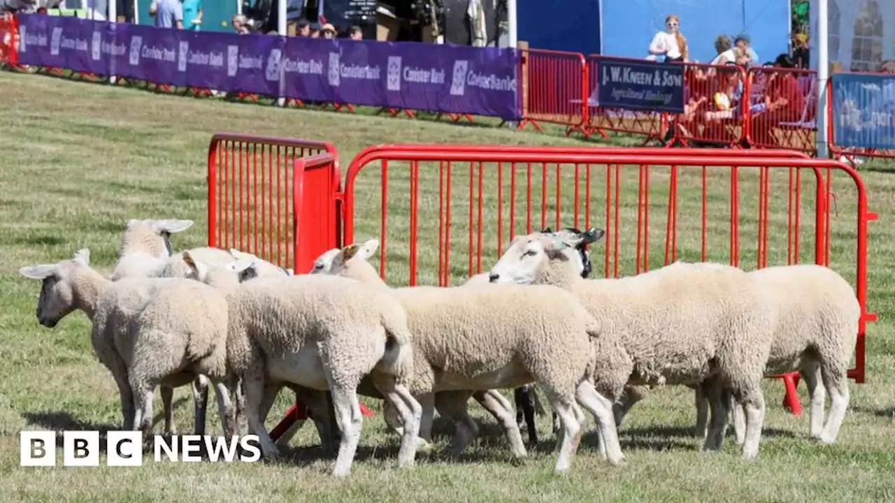 Royal Manx Agricultural Show to showcase island's farming sector