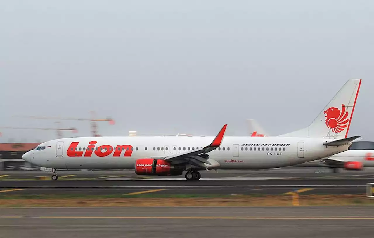 Lion Air Buka Lowongan Kerja Pramugari dan Pramugara, Ini Syaratnya