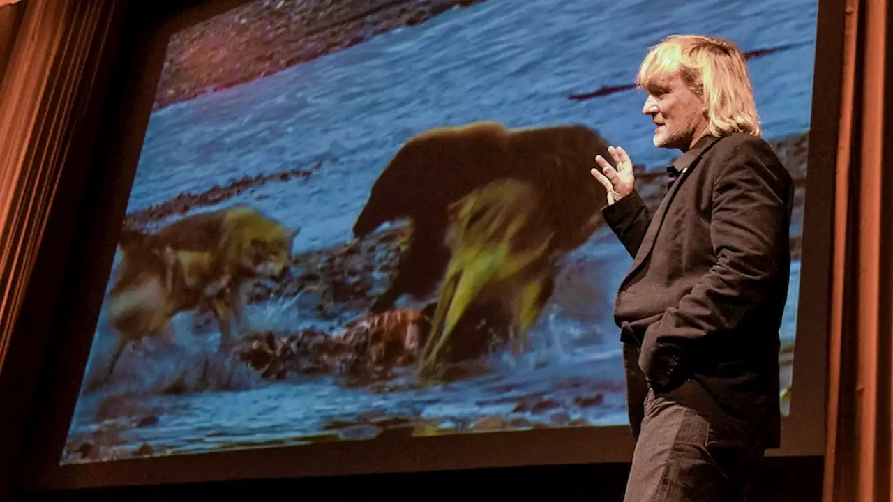 Andreas Kieling: Tierfilmer berichtet nach Bärenangriff von neuen Details der blutigen Attacke