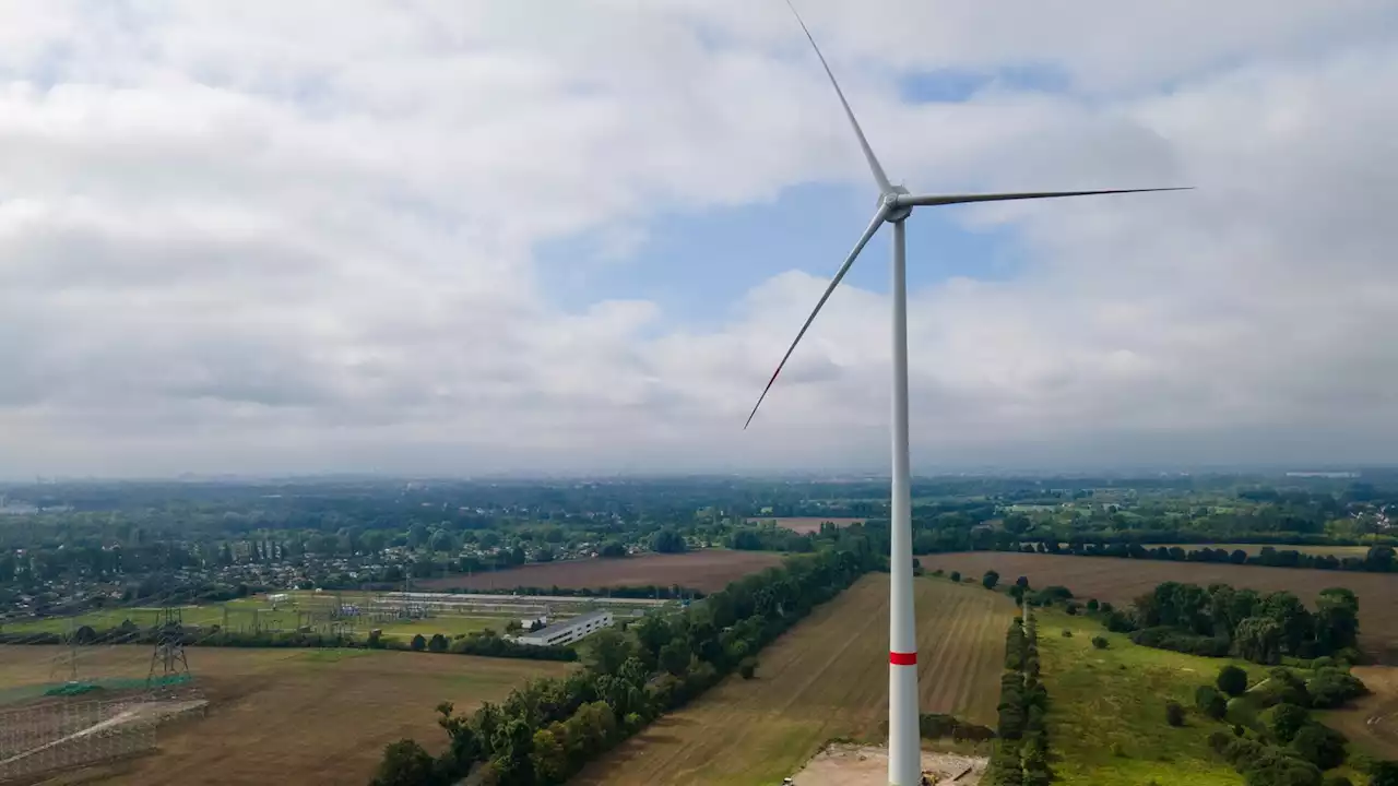 Nabu warnt vor Windkraft-Ausbau in Berlin