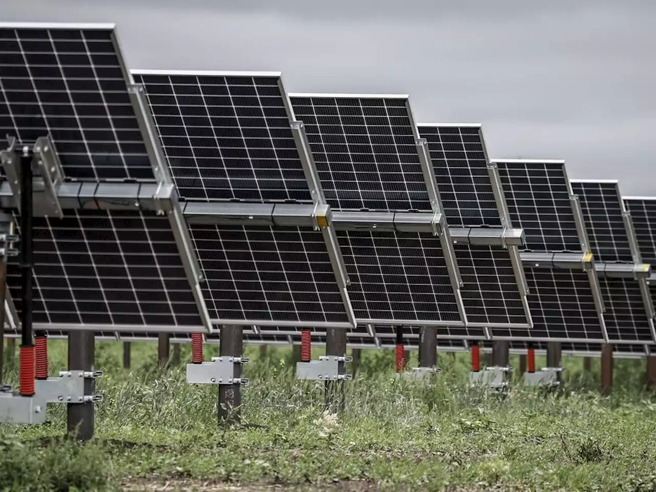 Renewable energy workers say Alberta’s pause will wipe out season of work