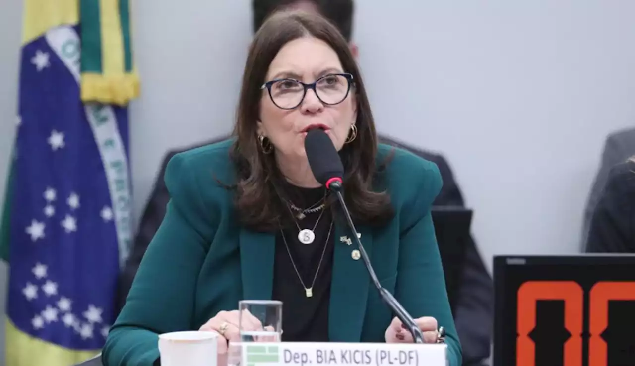 Bia Kicis se confunde e pede que colega deputada seja retirada de sessão pela polícia; assista