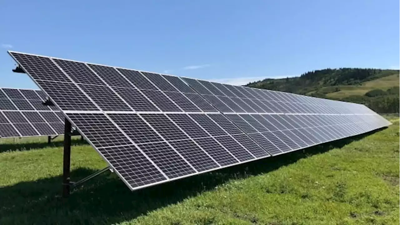 Renewable energy workers say Alberta's pause will wipe out season of work | CBC News