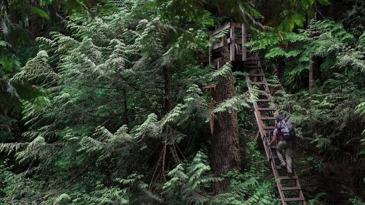 Vancouver Island trail named one of the most photographed in the world