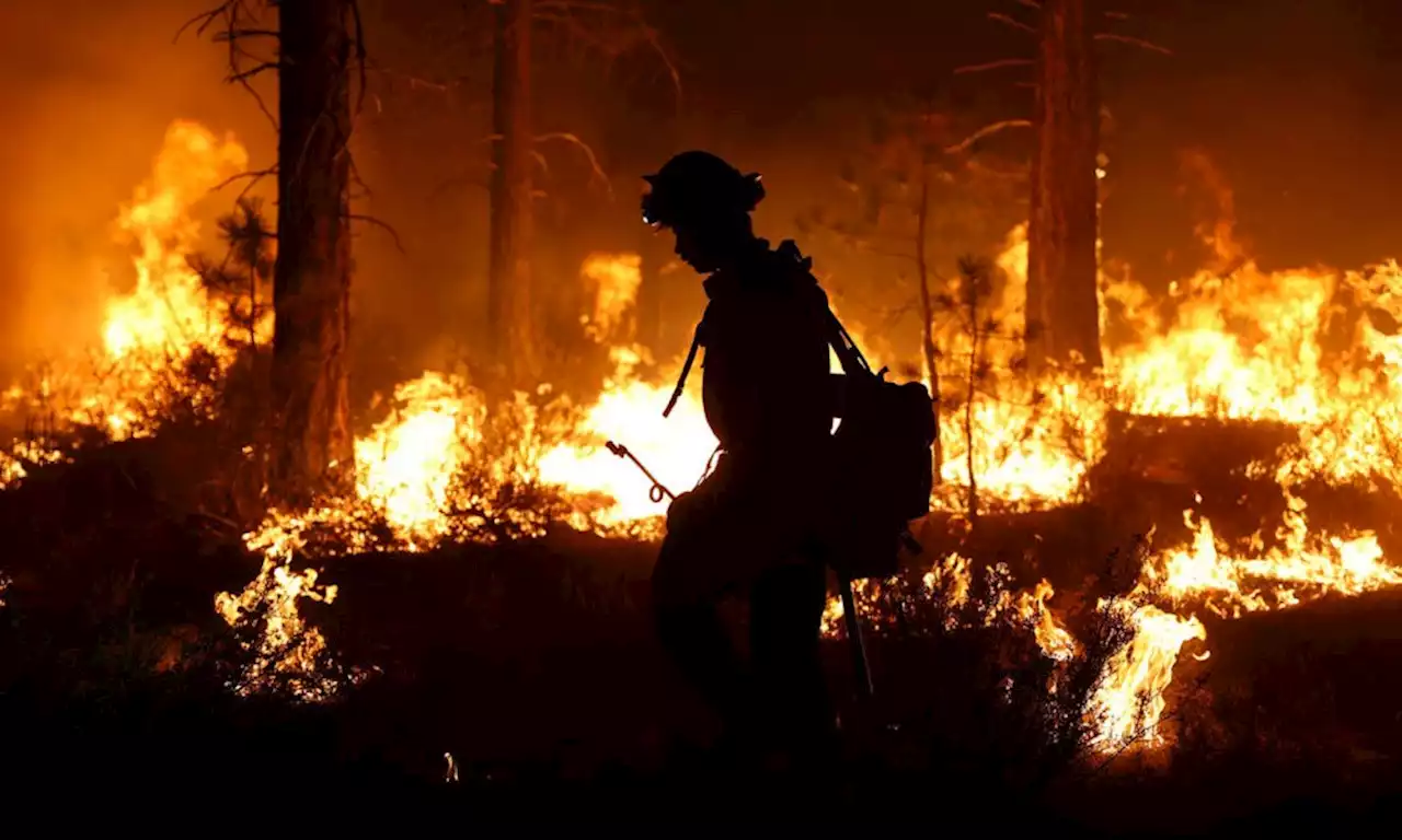 Fanning the Flames: Wildfires Emit Potent Climate-Warming Organic Particles - CleanTechnica