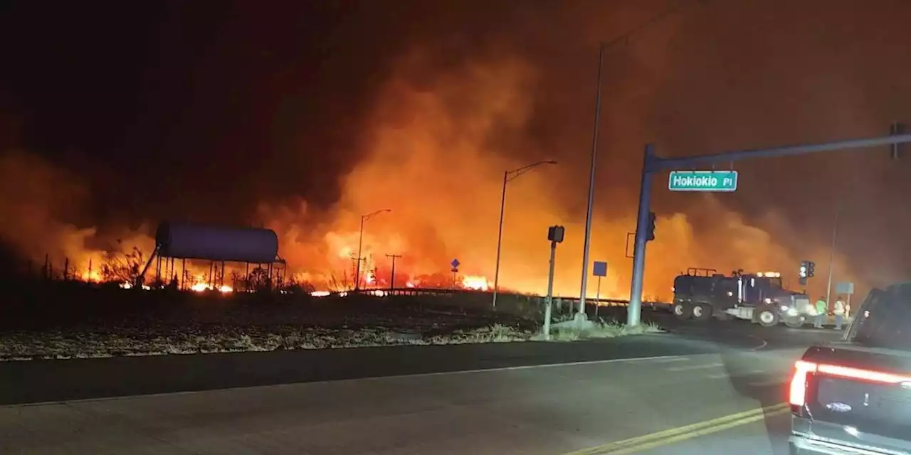 At least 36 people dead in devastating wildfires, Hawaii officials confirm