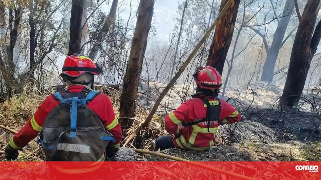 Dois jovens ateiam incêndio em Braga