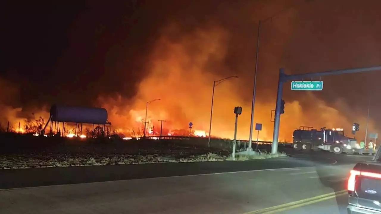 Cómo ayudar a las víctimas de los incendios forestales en Hawai