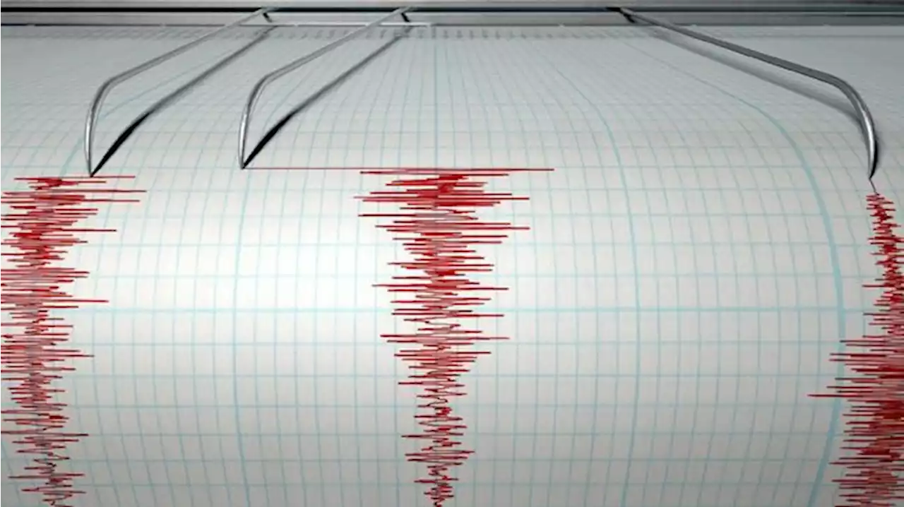 Gempa M 5,5 di Kepulauan Aru Maluku, Tak Berpotensi Tsunami