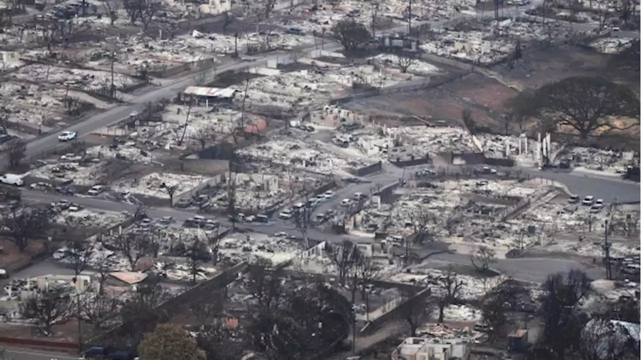 Deadly Wildfire Sweeps Through Maui, Hawaii