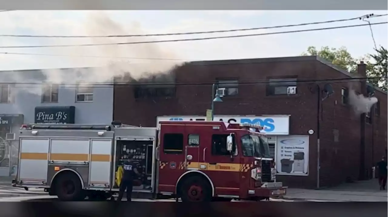 Fire Breaks Out in Industrial Building in Toronto, Animals Killed