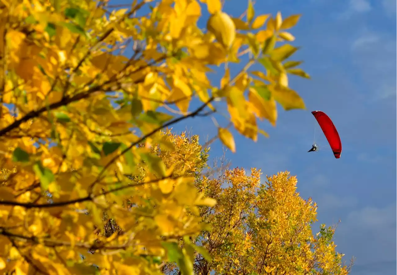 Denver weather: Mostly sunny with light breeze and possible late afternoon thunderstorms