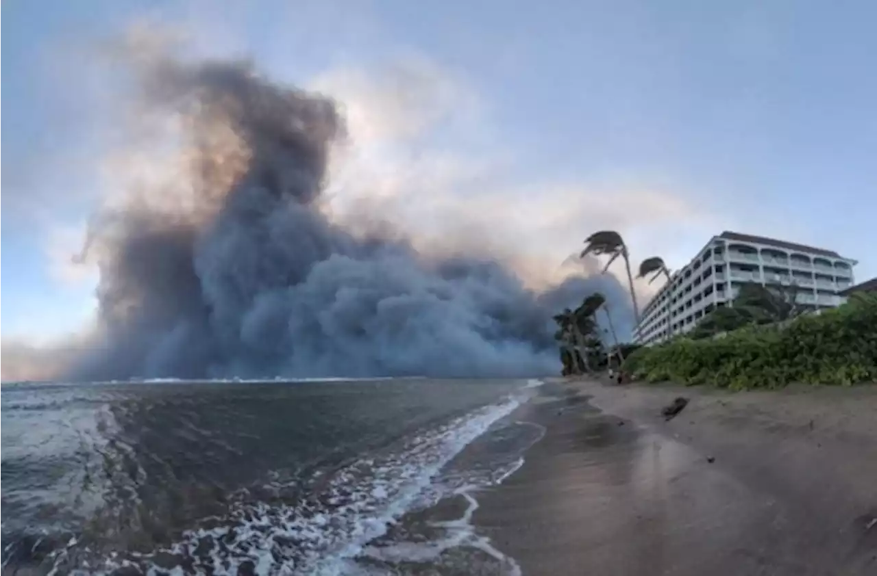 Zeker zes doden bij natuurbranden in Hawaï