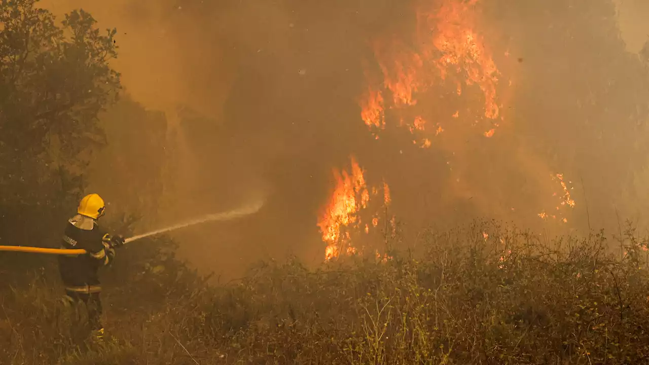 Interior Norte e Centro e Algarve em perigo de incêndio