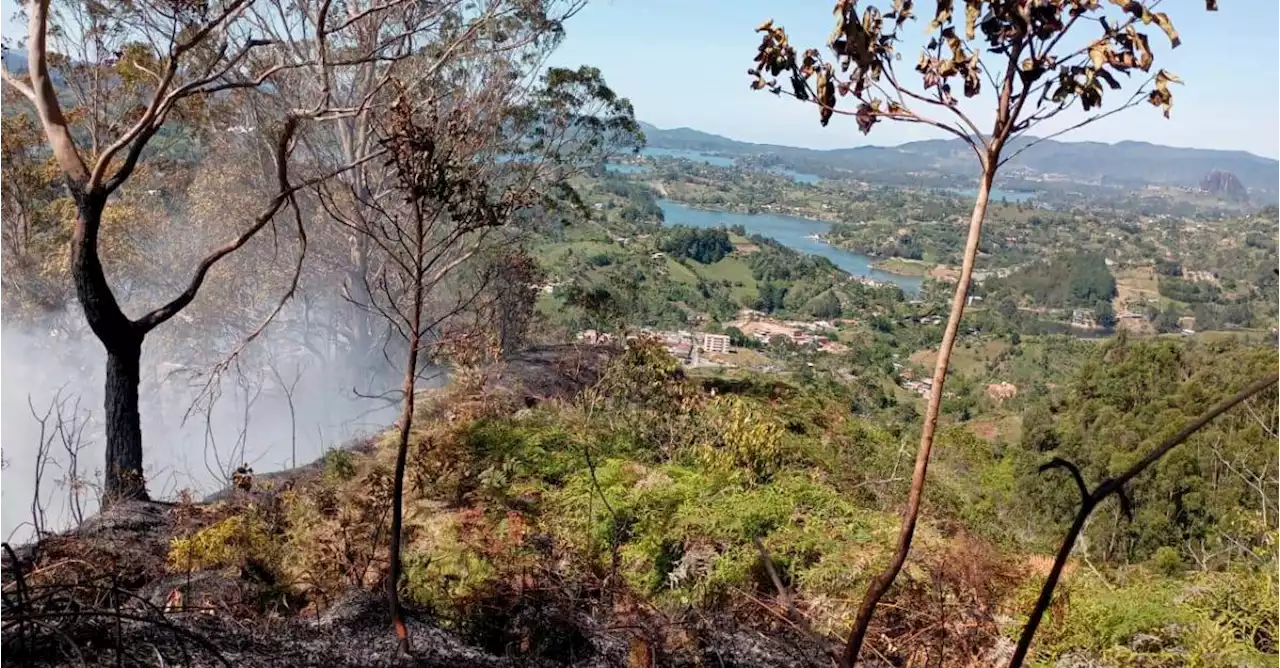 Organismos de socorro combaten siete incendios simultáneos en Antioquia