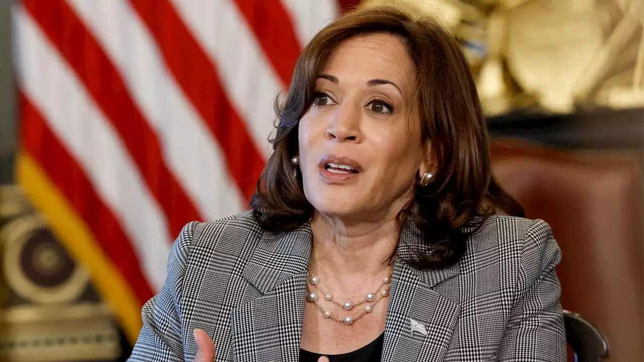 PolitiFact knocks Kamala Harris' claim she has 'great approval ratings': 'We rate the statement False'