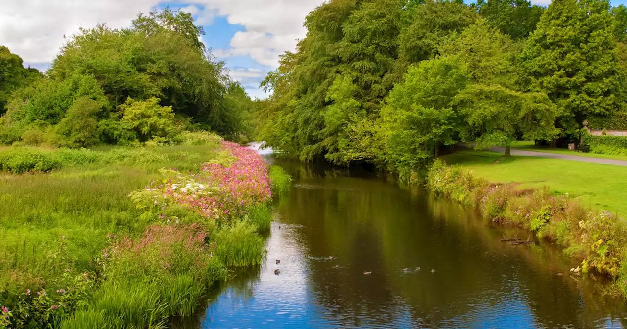 Glasgow's Pollok Park crowned 'Scotland’s best picnic spot' with lush gardens