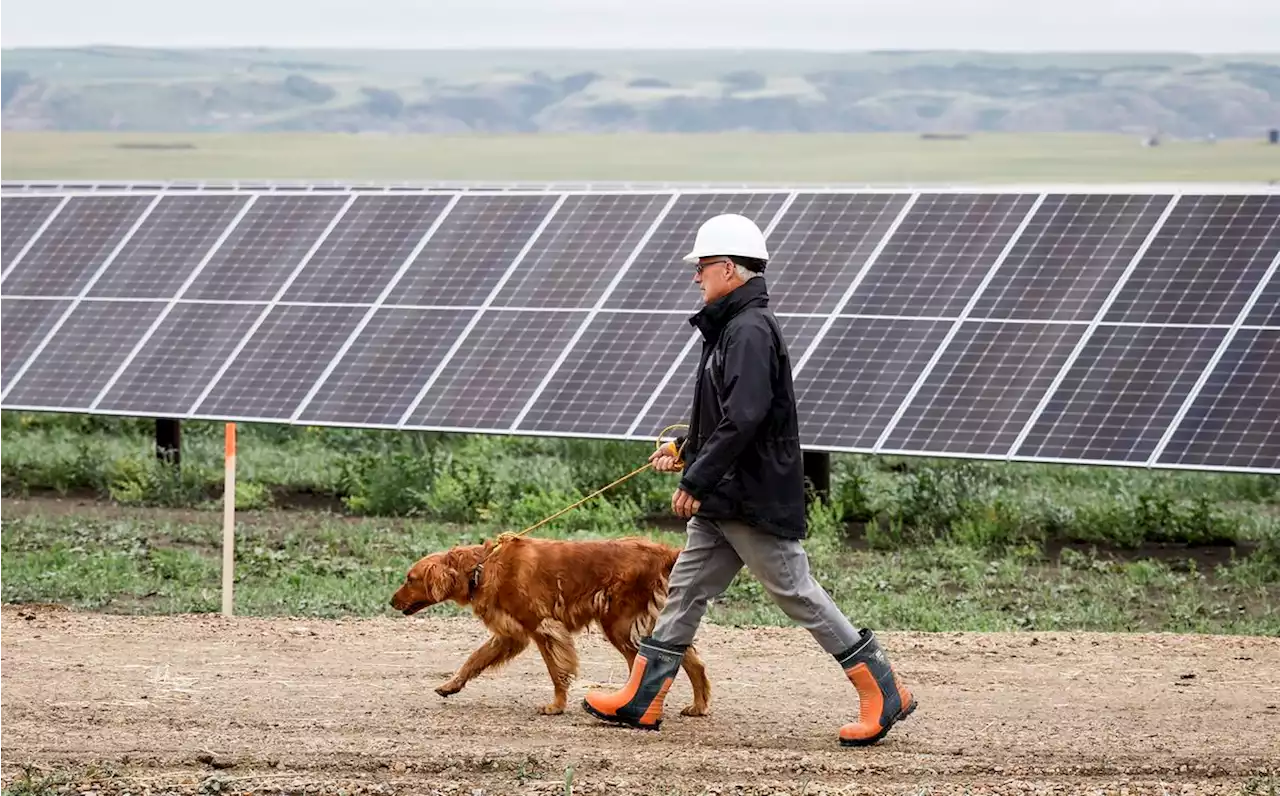 Opinion: Alberta’s renewable energy pause goes against conservative free market fundamentals