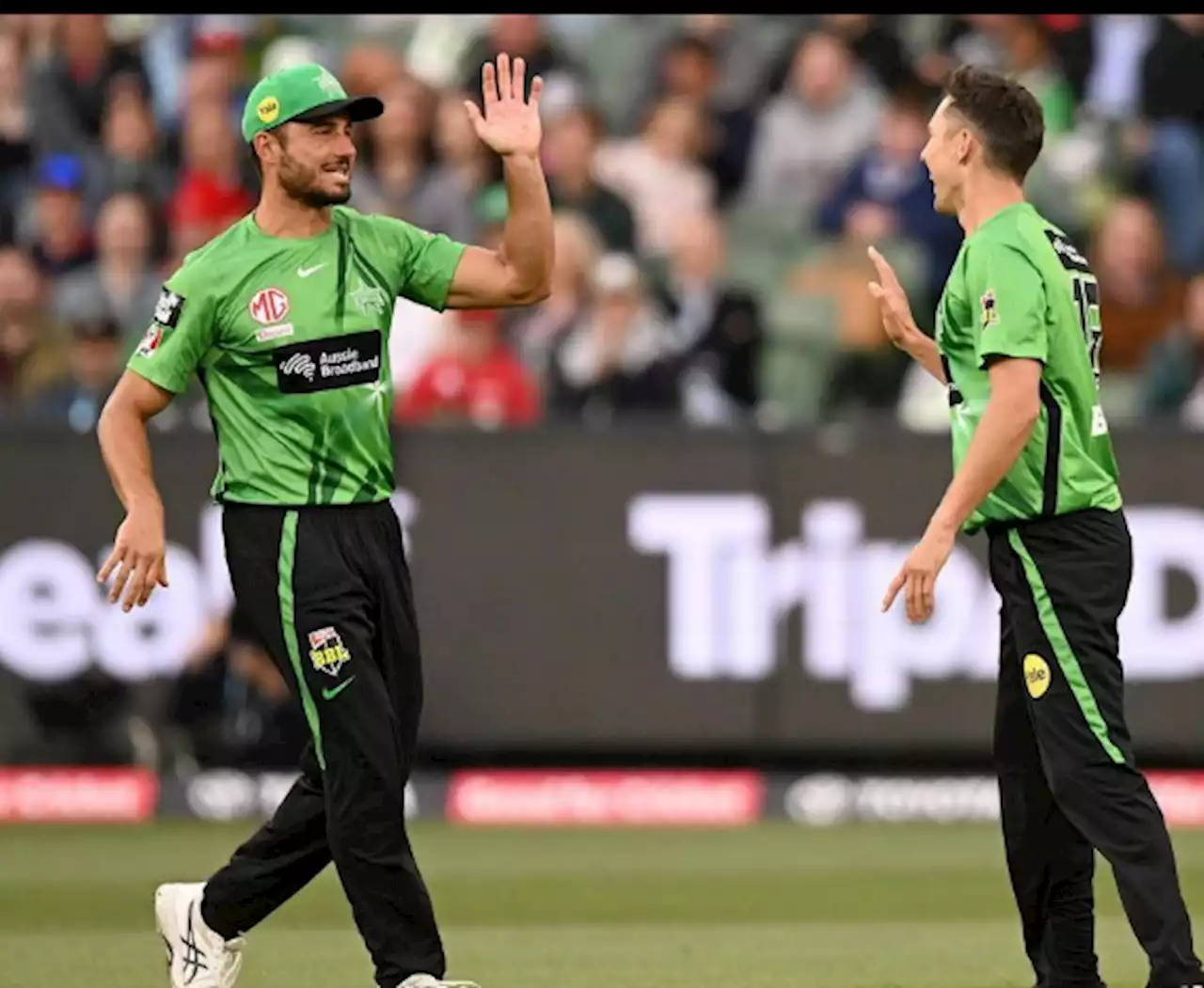 Trent Boult and Kyle Jamieson are back in New Zealand squad to face England