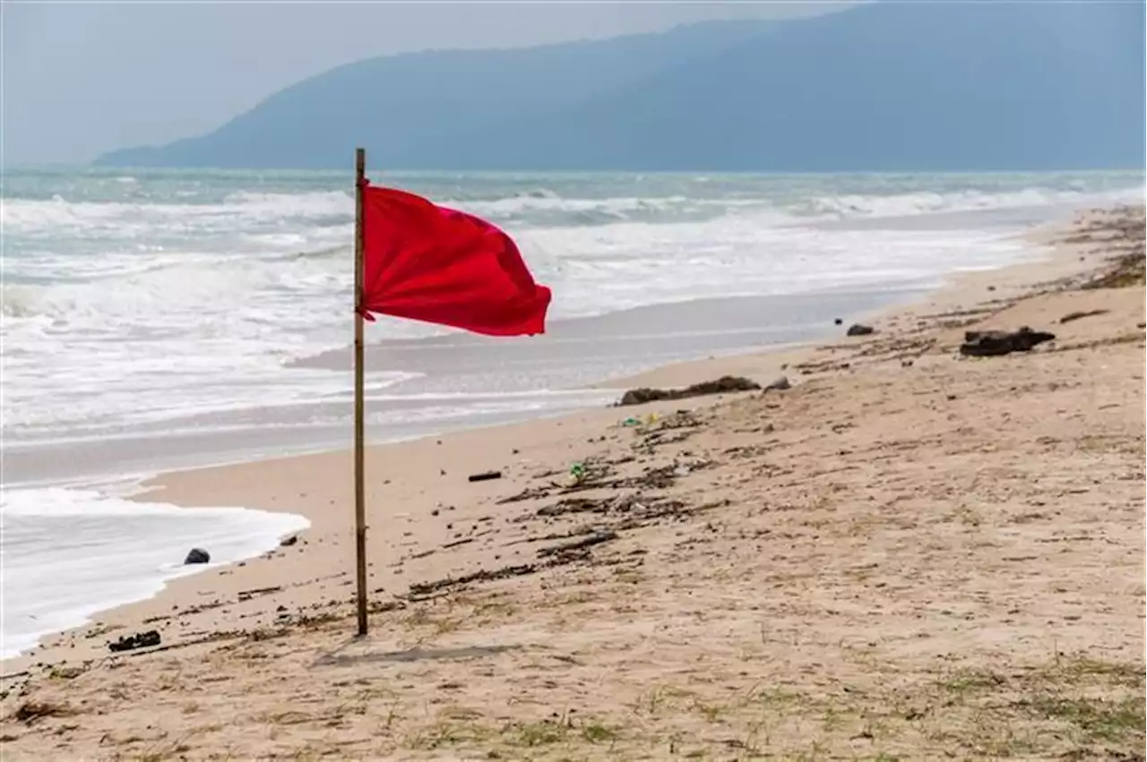 Viana do Castelo. Duas praias interditas a banhos devido a bactéria