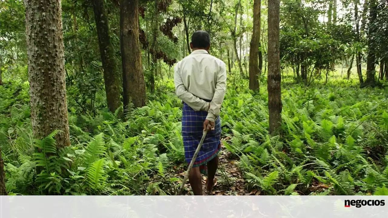 Governo alarga gratuitidade a mais serviços do cadastro dos prédios rústicos