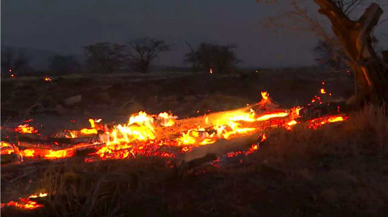 At least 36 killed on Maui as fires burn through Hawaii and thousands race to escape