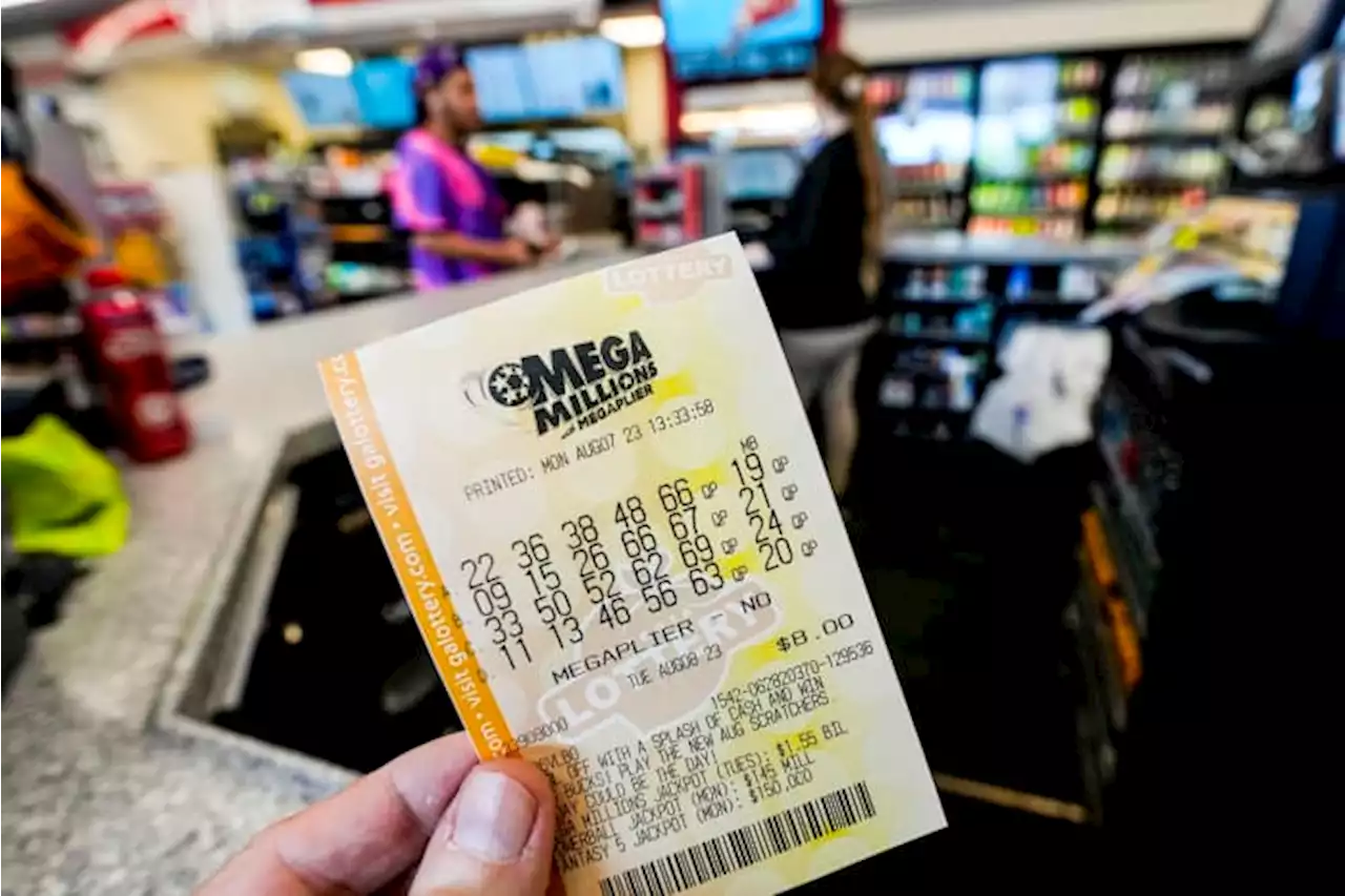 How checking old, potential winning lottery tickets has never been easier