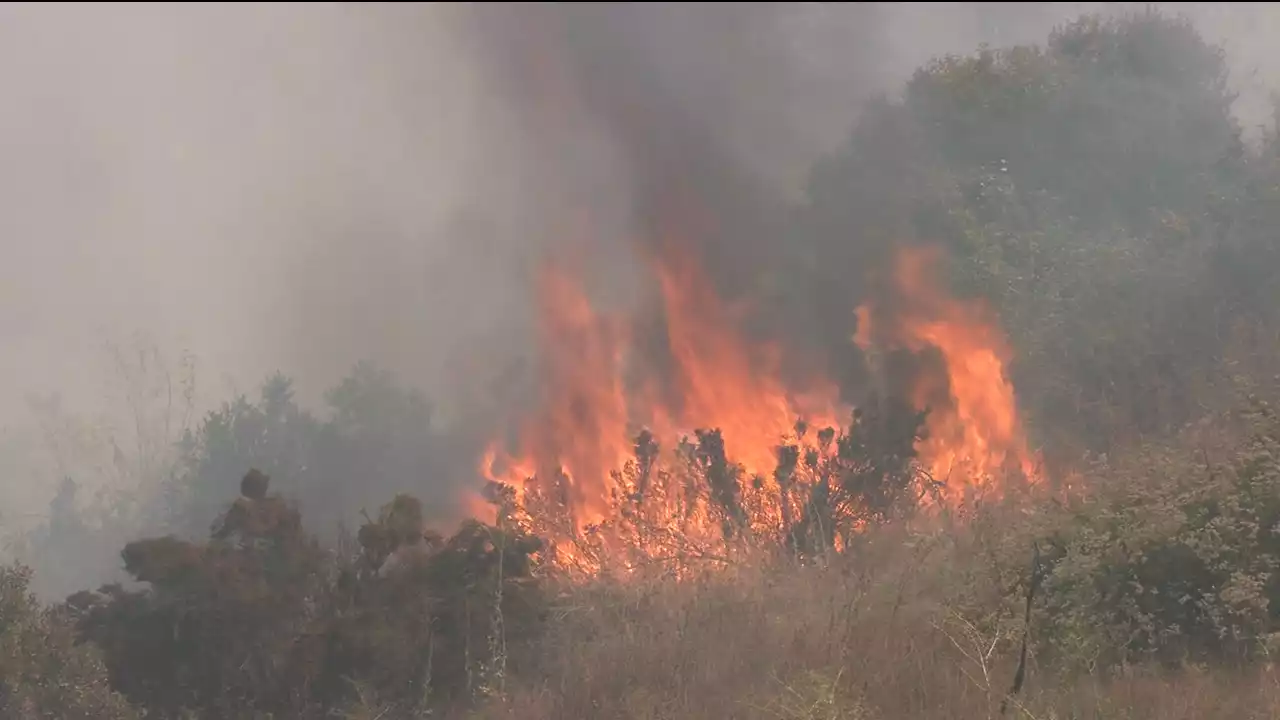 Crews work to surround burn zone of Ramona 'Bunnie' Wildfire -