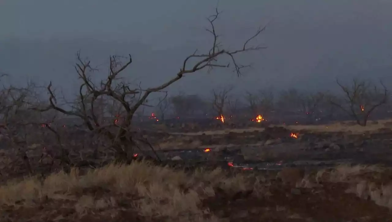 Officials: At least 36 killed on Maui as fires burn through Hawaii, thousands race to escape