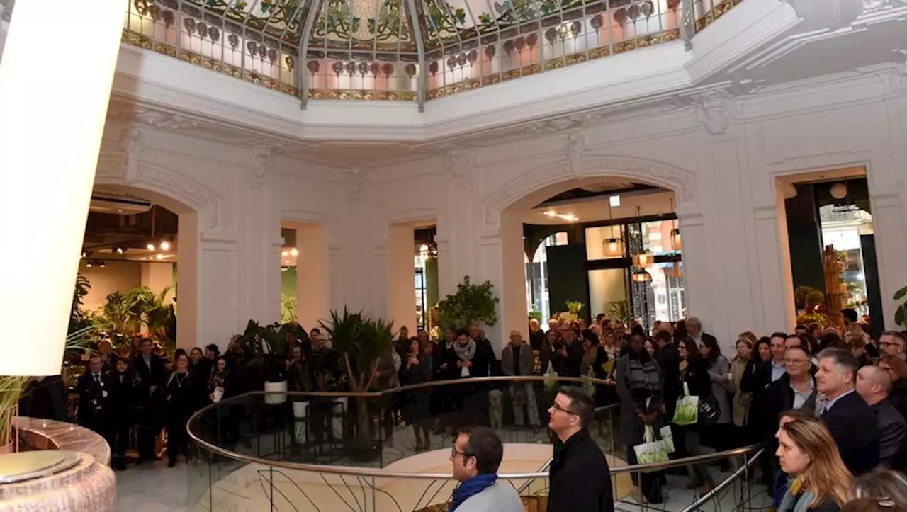 Dans le centre-ville de Toulouse, fermeture confirmée pour la jardinerie Truffaut en fin d'année