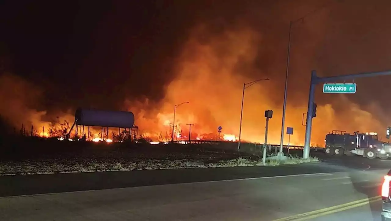 Hawaï : l'archipel est en proie à un terrible incendie, six morts sont à déplorer