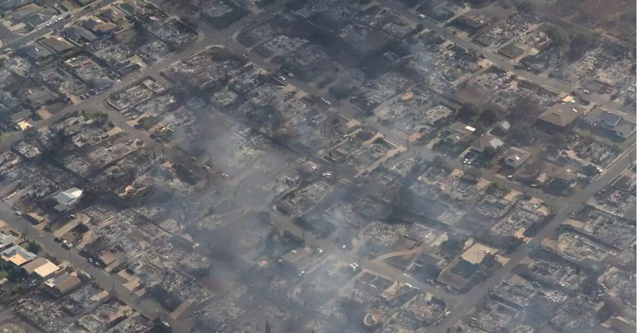 Hawaï : le bilan des incendies s'aggrave à 36 morts