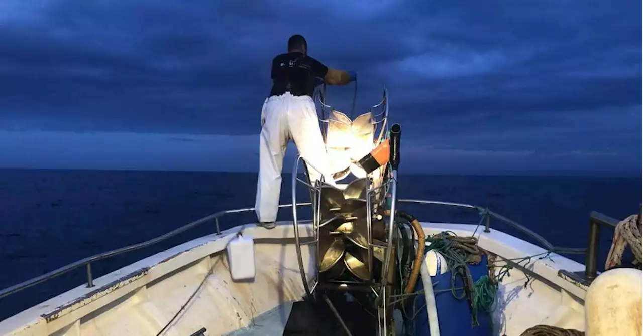 Marseille : larguer les amarres avec les derniers pêcheurs de la Madrague