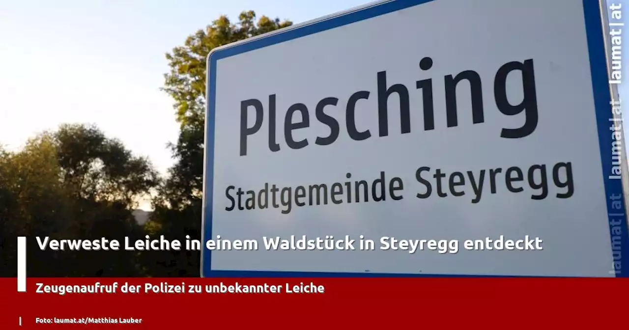 Verweste Leiche in einem Waldstück in Steyregg entdeckt | laumat|at