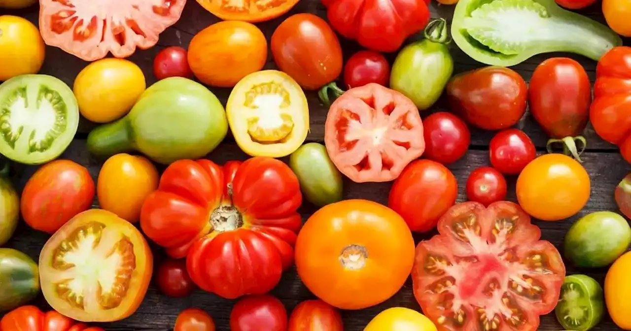 El impresionante beneficio del tomate que quizá no conocías | Ciudadanos | La Voz del Interior