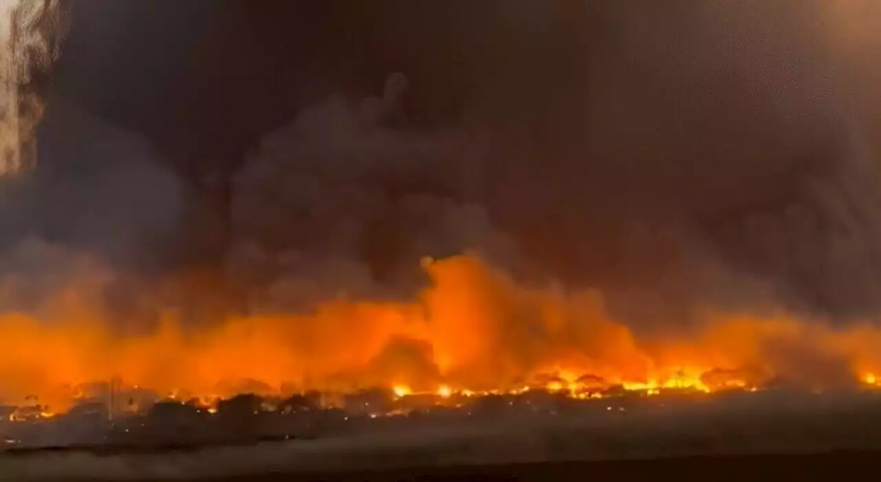 Hawaii in fiamme, diversi morti a Maui. Incendi alimentati dall'urugano Dora. Gente in fuga si tuffa nel Pacifico