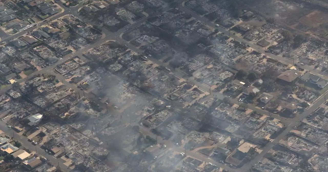 Au moins six morts et des milliers d'évacuations à Hawaï, ravagé par de multiples incendies