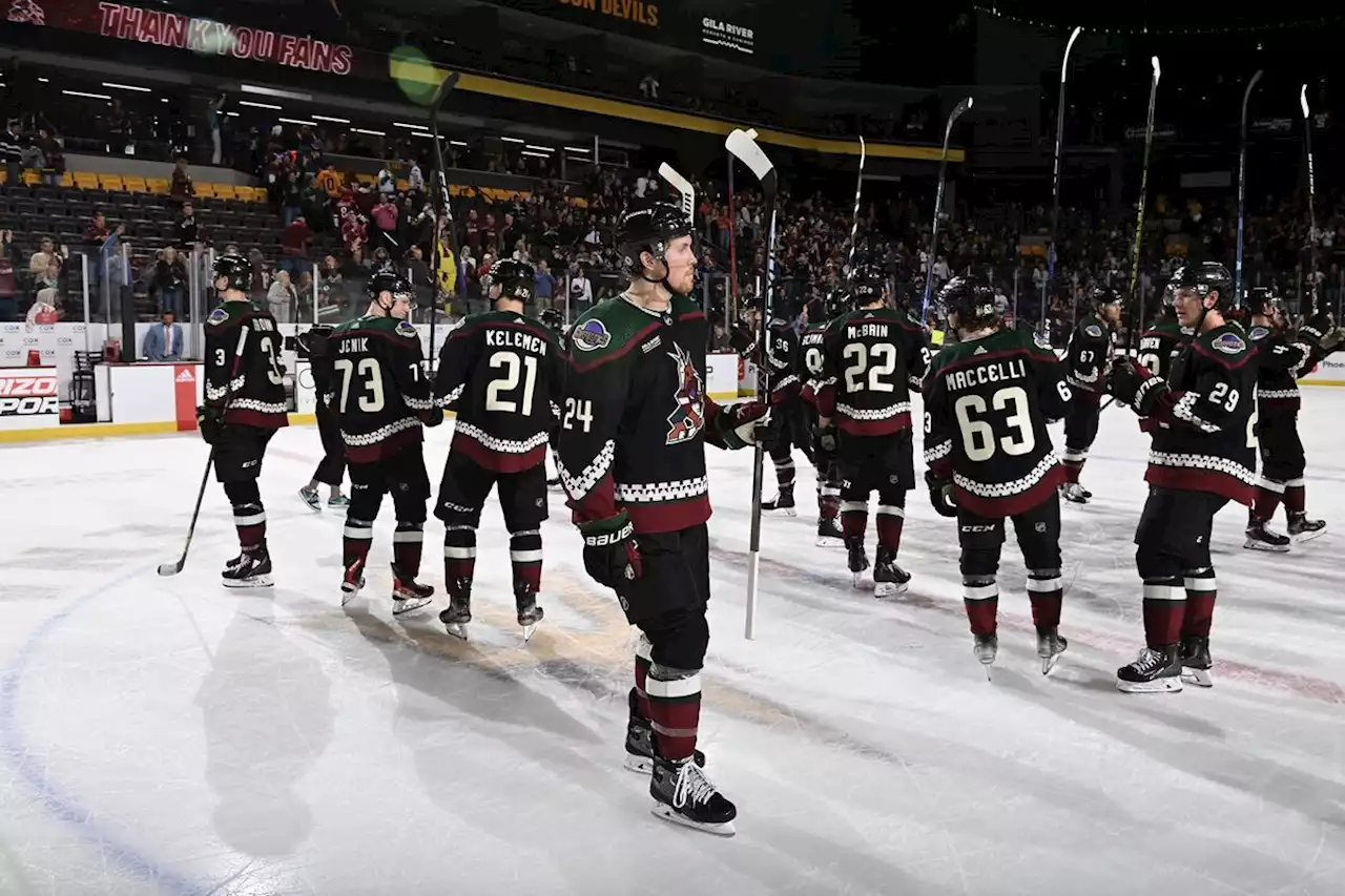 NHL’s Coyotes Owner Signs Letter of Intent on Mesa, Arizona, Land