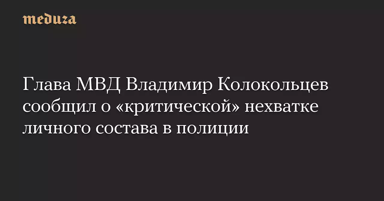 Глава МВД Владимир Колокольцев сообщил о «критической» нехватке личного состава в полиции — Meduza