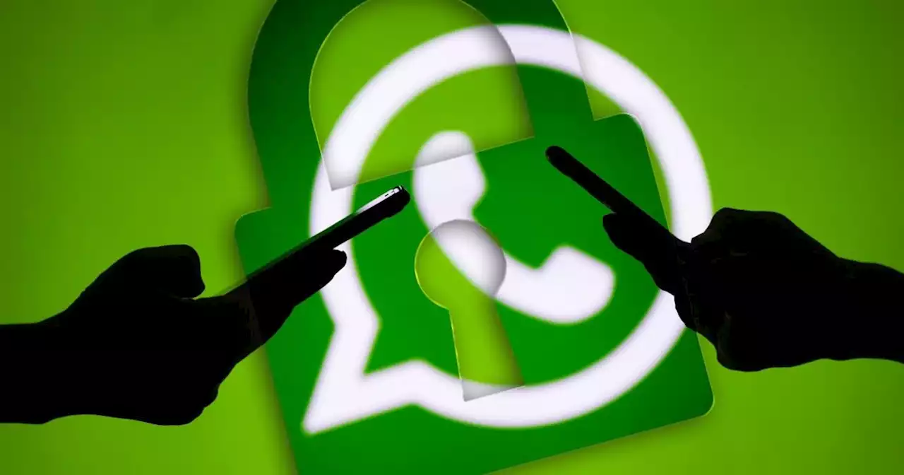 New screen-sharing feature will change how you use WhatsApp