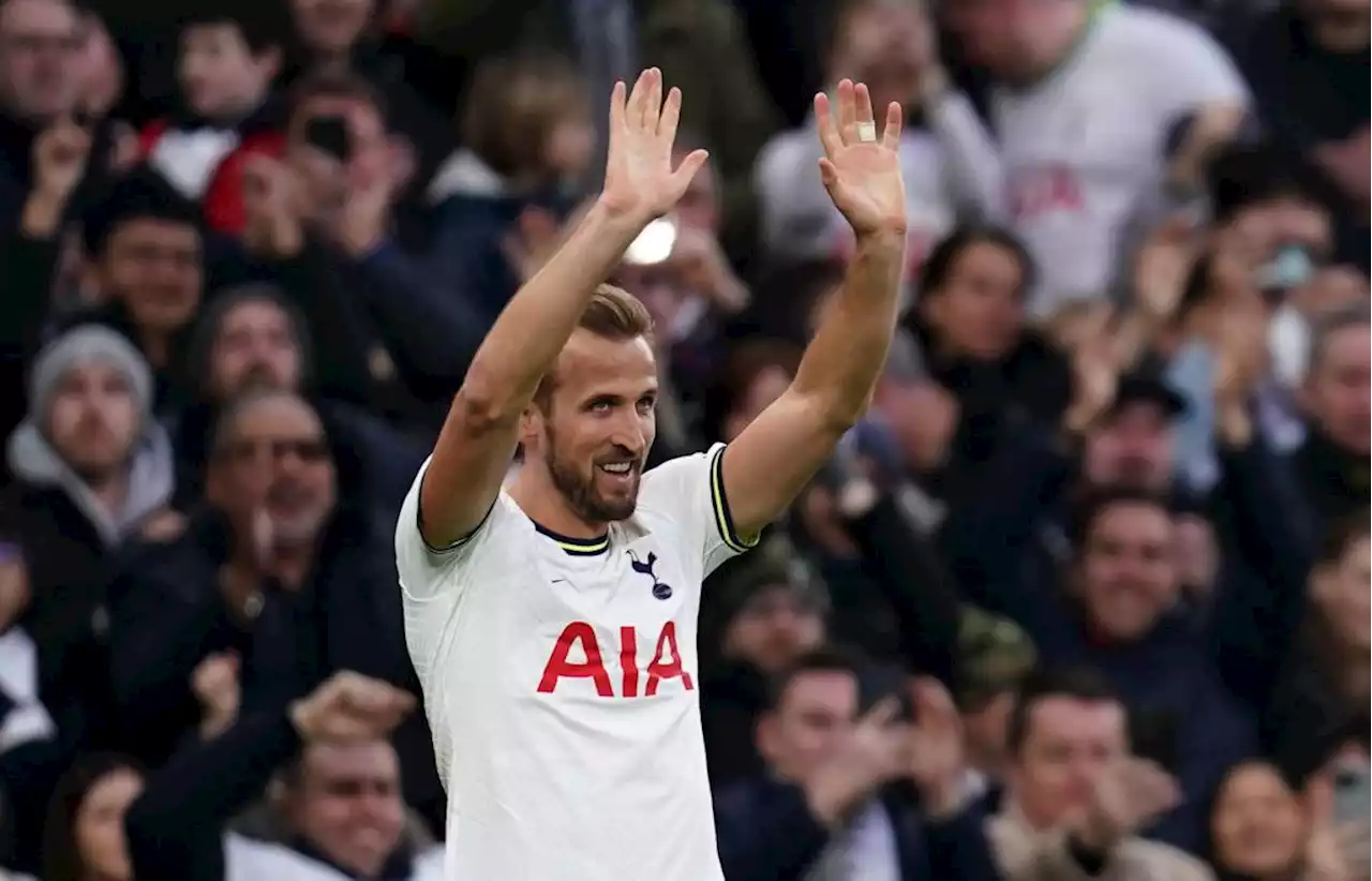 FC Bayern einigt sich mit Tottenham auf Ablöse für Wunschstürmer Harry Kane