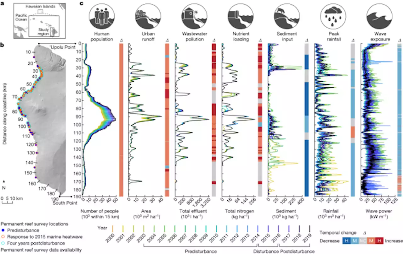 Coral reefs benefit from reduced land–sea impacts under ocean warming - Nature