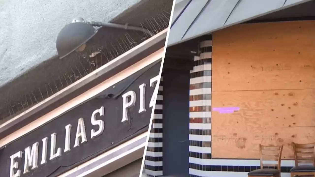 Berkeley pizza shop cleaning up after being hit by vandals