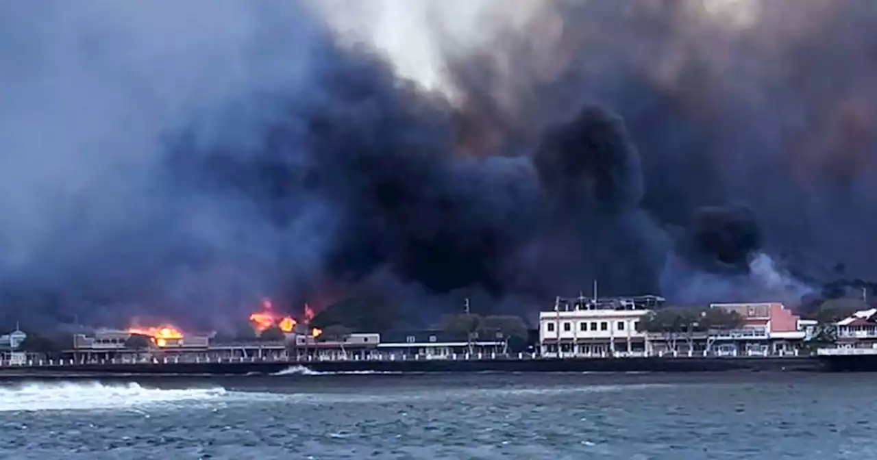 14 people who sheltered from Maui wildfire in the ocean rescued by Coast Guard