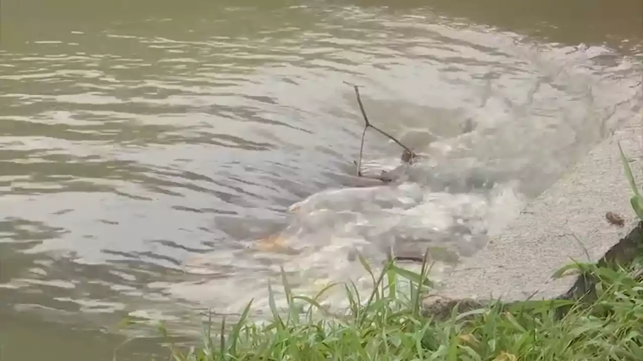 Heavy rain releases sewage into Charles River and Mystic River