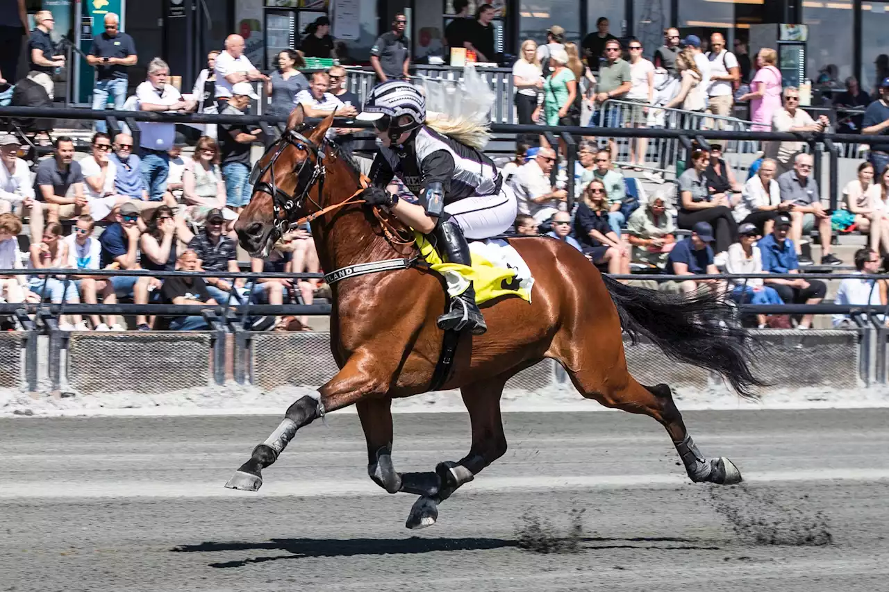 Herlig omgang med V65-jackpot fra Bergen