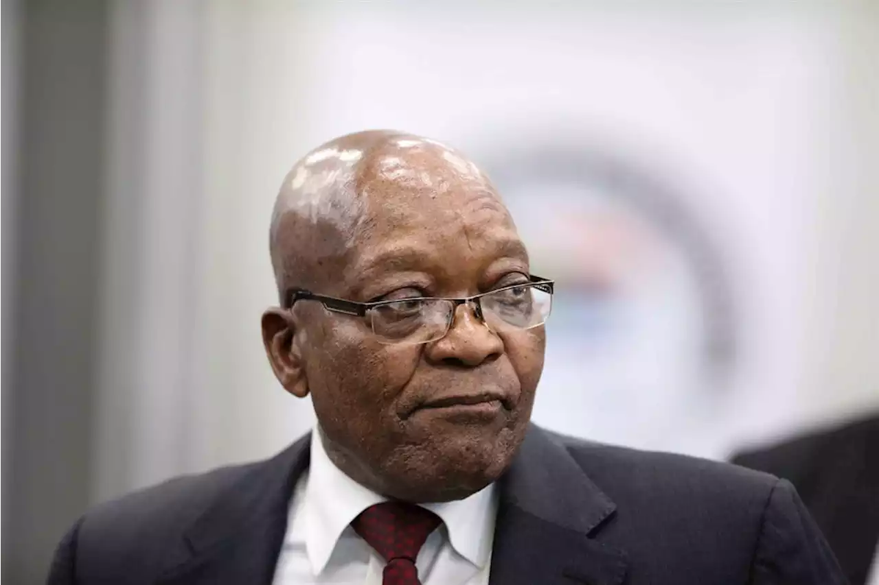 'Stolen money': Zuma must pay back millions in legal fees funded by Louis Liebenberg - inquiry | Business