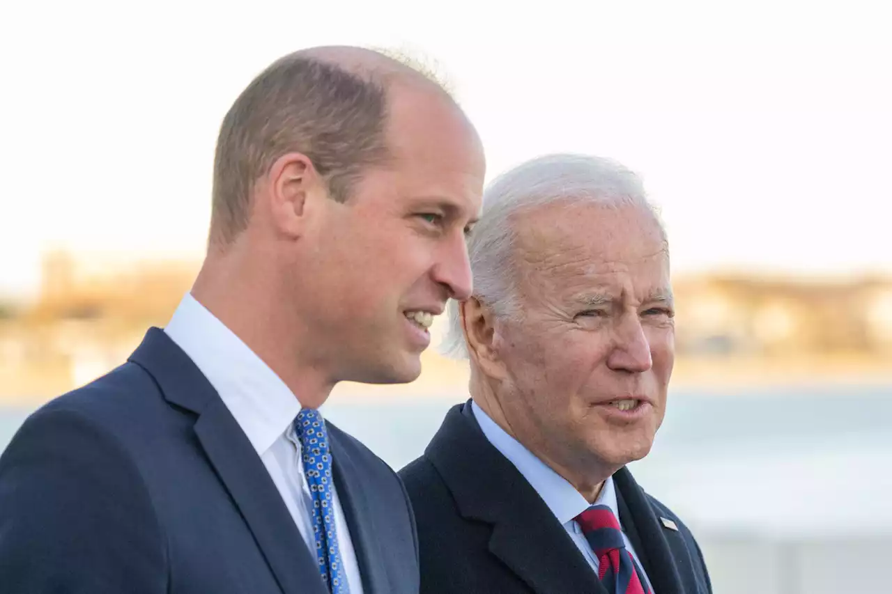 Prince William more popular with Americans than Biden or Trump