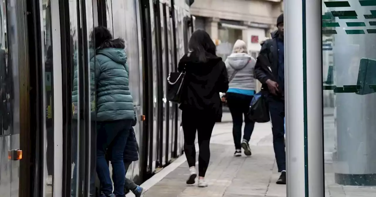 'Significant' tram disruption as crash halts services